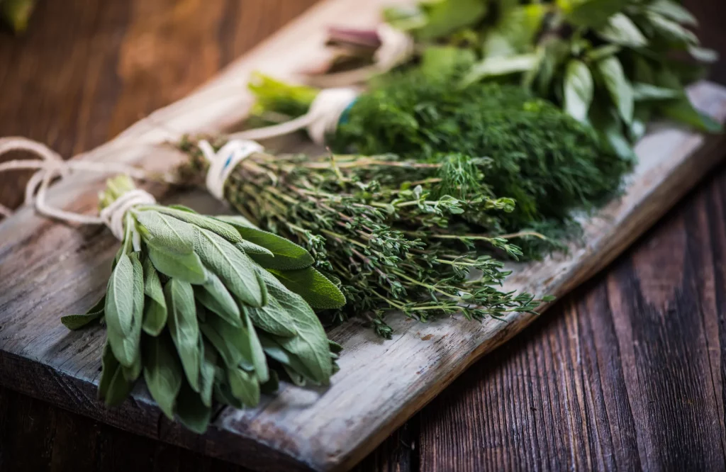 Frische Kräuter wie Basilikum, Salbei, Dill und Thymian liegen gebündelt auf einem Holzbrett.
