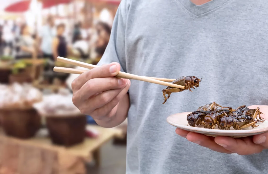 Eine Hand hält Essstäbchen mit einer frittierten Grille vor einem Street-Food-Hintergrund.