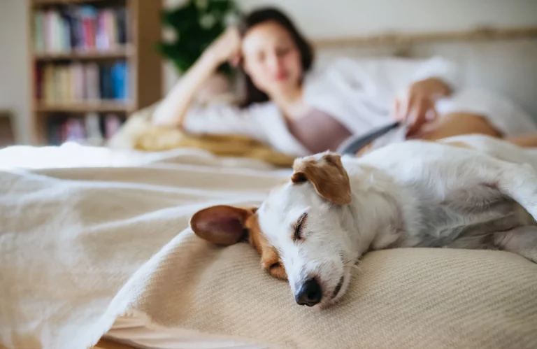 Ein schlafender Hund liegt neben einer Frau im Bett, die gemütlich in einem Buch liest.