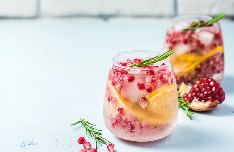 Festliche Cocktails mit Wasser, Granatapfelkernen und Zitrusscheiben in Gläsern.
